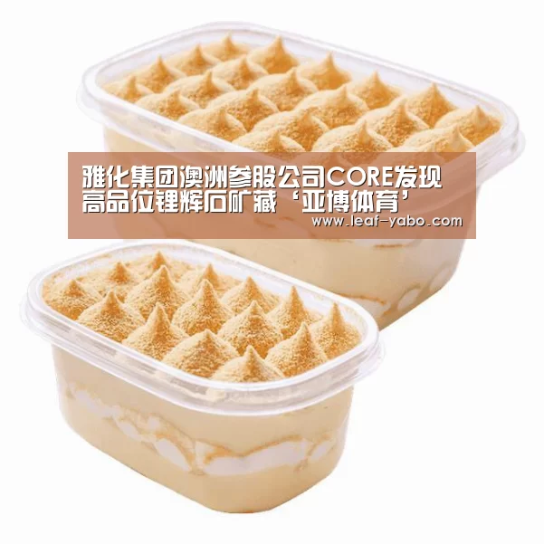 雅化集团澳洲参股公司CORE发现高品位锂辉石矿藏‘亚博体育’(图1)