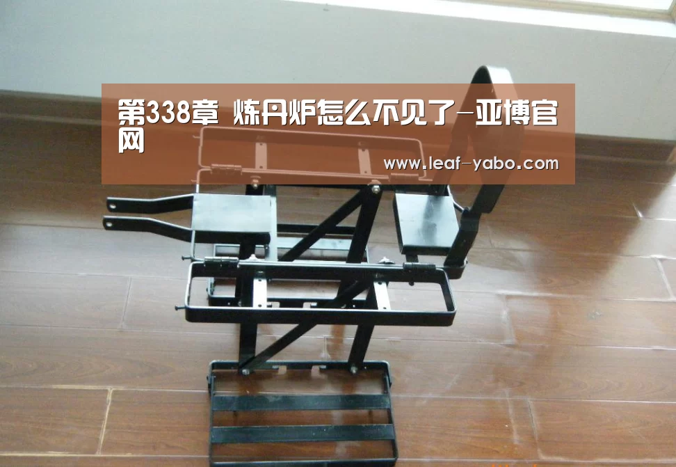 第338章 炼丹炉怎么不见了-亚博官网(图1)