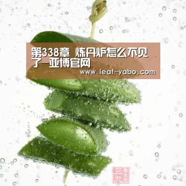 第338章 炼丹炉怎么不见了-亚博官网(图3)