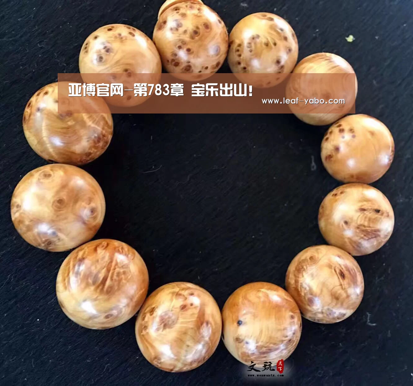 亚博官网-第783章 宝乐出山!(图1) 亚博体育