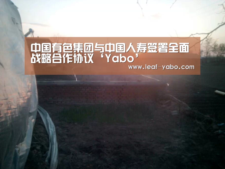 中国有色集团与中国人寿签署全面战略合作协议‘Yabo’(图1)