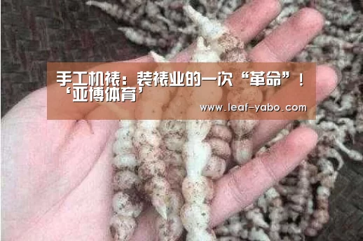 手工机裱：装裱业的一次“革命”!‘亚博体育’