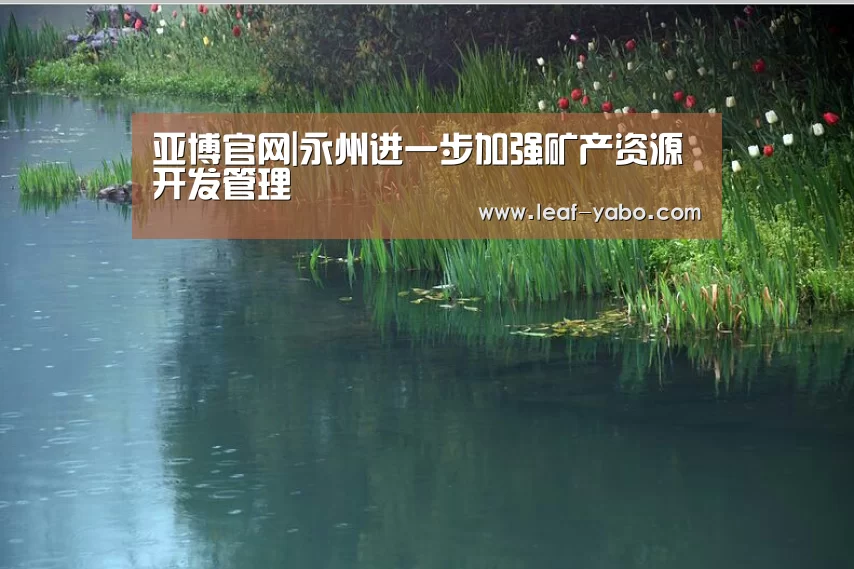 亚博官网|永州进一步加强矿产资源开发管理(图2)