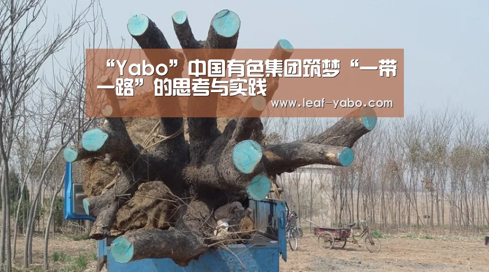 亚博体育